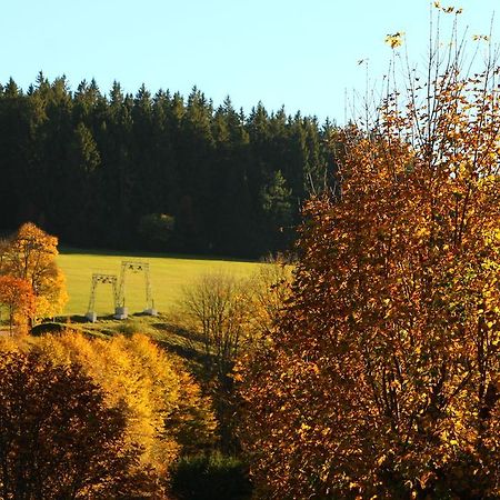 Gasthof Schwarzwaldtanne Schoenwald im Schwarzwald Exterior photo