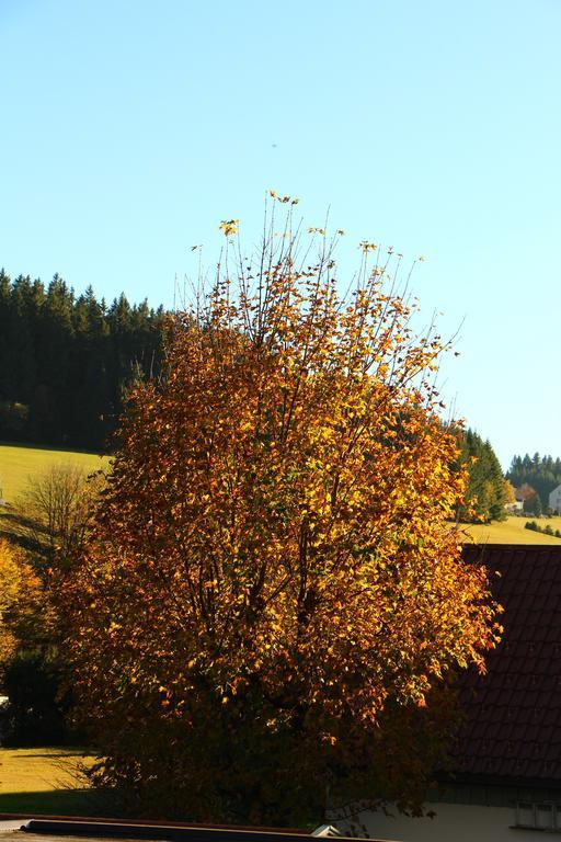 Gasthof Schwarzwaldtanne Schoenwald im Schwarzwald Exterior photo